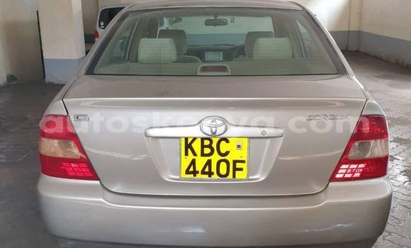 Nunua Ilio tumika Toyota Corolla Beige Gari ndani ya Mto Athi nchini Nairobi Nunua Ilio tumika Toyota Corolla Beige Gari ndani ya Mto Athi nchini Nairobi