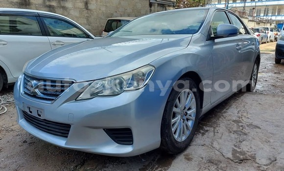 Oofamaa Toyota Mark X Silver Makiinaa iti Athi River keessatti Nairobi keessatti