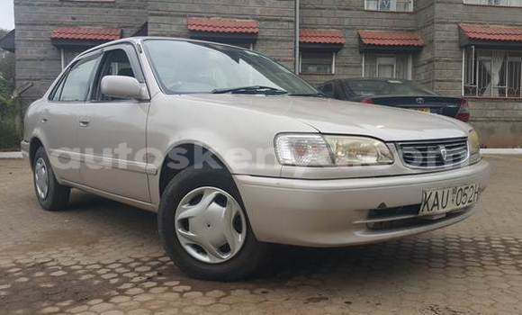 Oofamaa Toyota Corolla Silver Makiinaa iti Chuka keessatti East Kenya keessatti