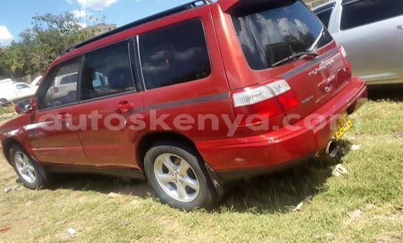 Oofamaa Subaru Forester Red Makiinaa iti Nairobi keessatti Nairobi keessatti Oofamaa Subaru Forester Red Makiinaa iti Nairobi keessatti Nairobi keessatti