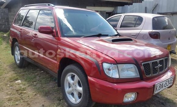 Oofamaa Subaru Forester Red Makiinaa iti Nairobi keessatti Nairobi keessatti Oofamaa Subaru Forester Red Makiinaa iti Nairobi keessatti Nairobi keessatti