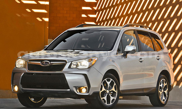 Haaraa Subaru Forester White Makiinaa iti Nairobi keessatti Nairobi keessatti Haaraa Subaru Forester White Makiinaa iti Nairobi keessatti Nairobi keessatti