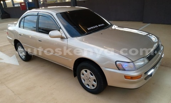 Oofamaa Toyota Corolla Silver Makiinaa iti Voi keessatti Coastal Kenya keessatti Oofamaa Toyota Corolla Silver Makiinaa iti Voi keessatti Coastal Kenya keessatti