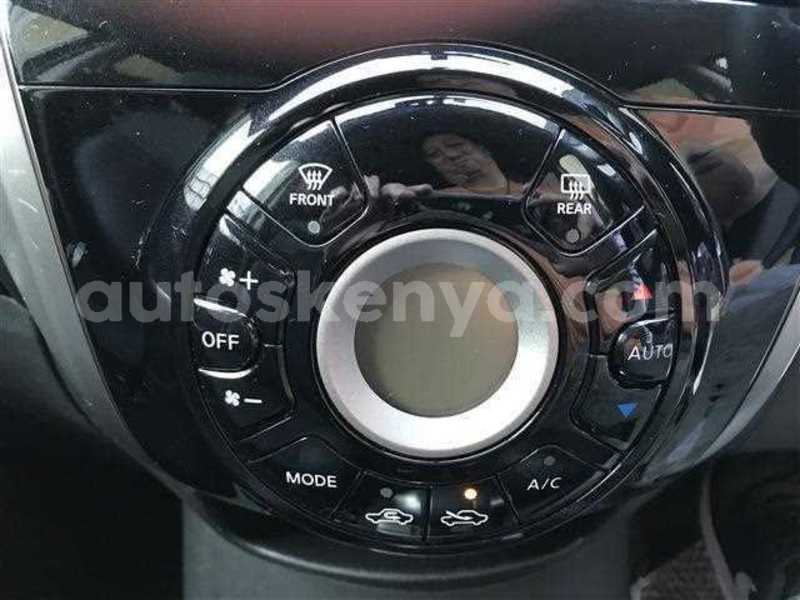 Big with watermark 12