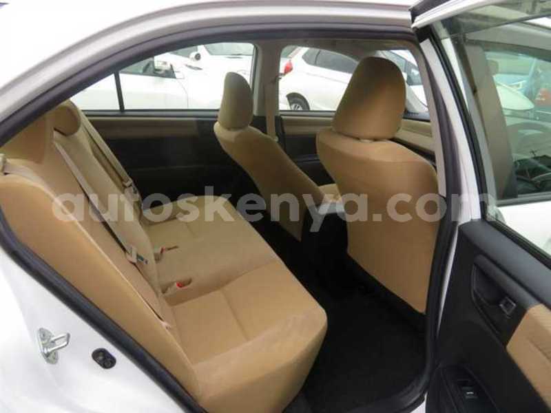 Big with watermark 09