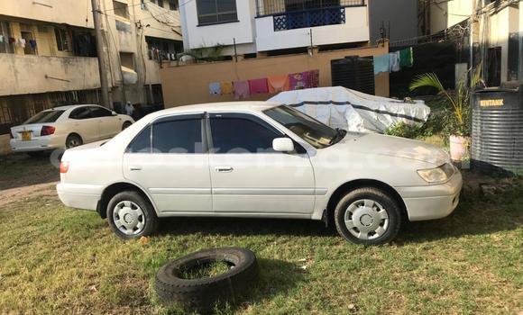 Oofamaa Toyota Premio White Makiinaa iti Mombasa keessatti Coastal Kenya keessatti Oofamaa Toyota Premio White Makiinaa iti Mombasa keessatti Coastal Kenya keessatti