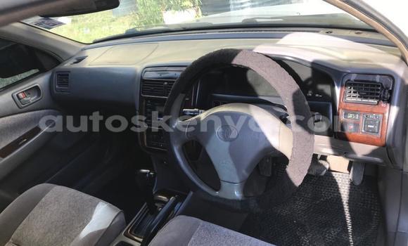 Oofamaa Toyota Premio White Makiinaa iti Mombasa keessatti Coastal Kenya keessatti Oofamaa Toyota Premio White Makiinaa iti Mombasa keessatti Coastal Kenya keessatti