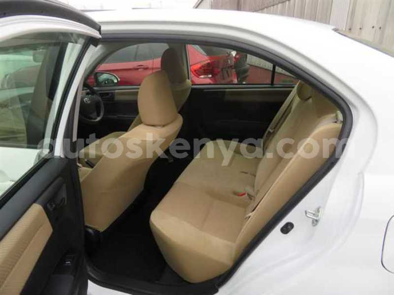 Big with watermark 12