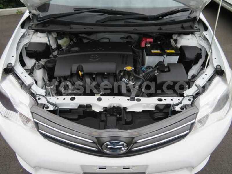 Big with watermark 24