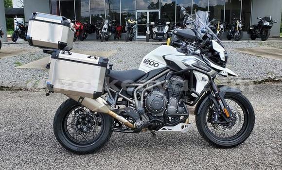 Nunua Ilio tumika Triumph Tiger Fedha Bike ndani ya Nairobi nchini Nairobi