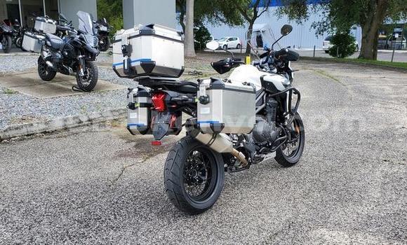 Buy Used Triumph Tiger Silver Bike in Nairobi in Nairobi Buy Used Triumph Tiger Silver Bike in Nairobi in Nairobi