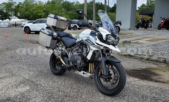 Buy Used Triumph Tiger Silver Bike in Nairobi in Nairobi Buy Used Triumph Tiger Silver Bike in Nairobi in Nairobi