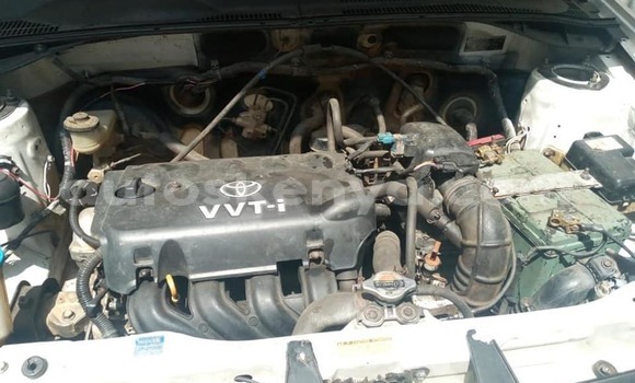 Oofamaa Toyota Probox White Makiinaa iti Nairobi keessatti Nairobi keessatti Oofamaa Toyota Probox White Makiinaa iti Nairobi keessatti Nairobi keessatti