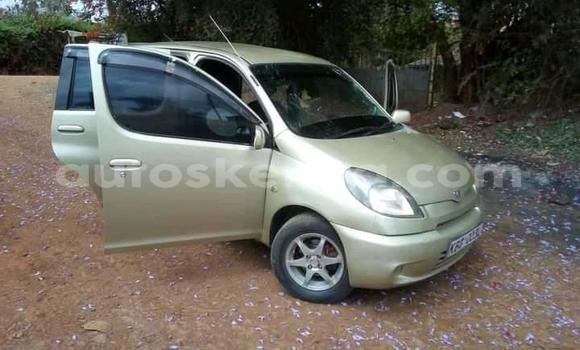 Buy Used Toyota FunCargo Green Car in Ruiru in Nairobi Buy Used Toyota FunCargo Green Car in Ruiru in Nairobi
