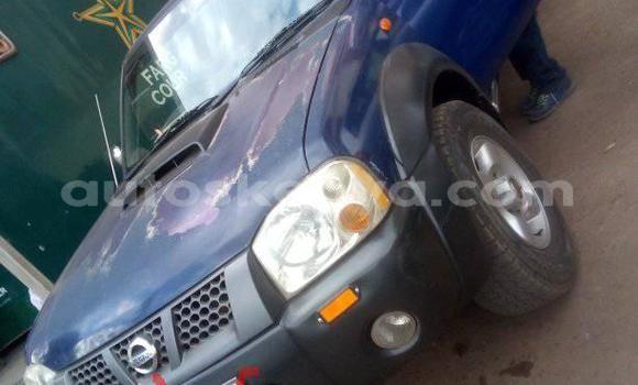 Buy Used Nissan Hardbody Blue Car in Thika in Nairobi Buy Used Nissan Hardbody Blue Car in Thika in Nairobi