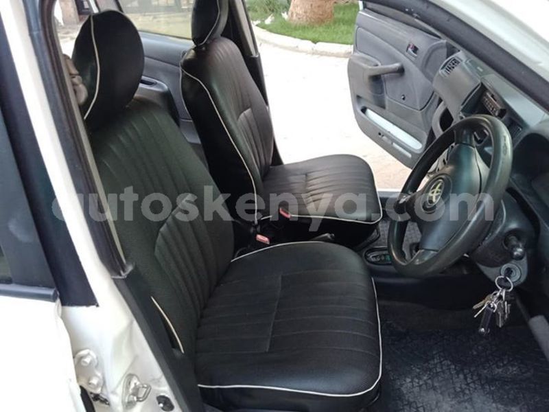 Big with watermark 48395257 2474019399336097 6801685268517617664 n