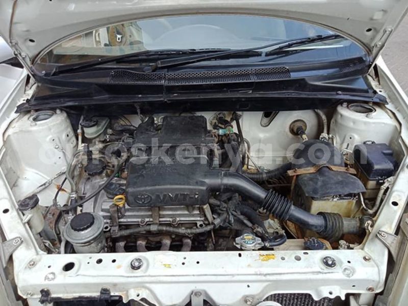 Big with watermark 49065953 2471703296234374 1960393639930626048 n