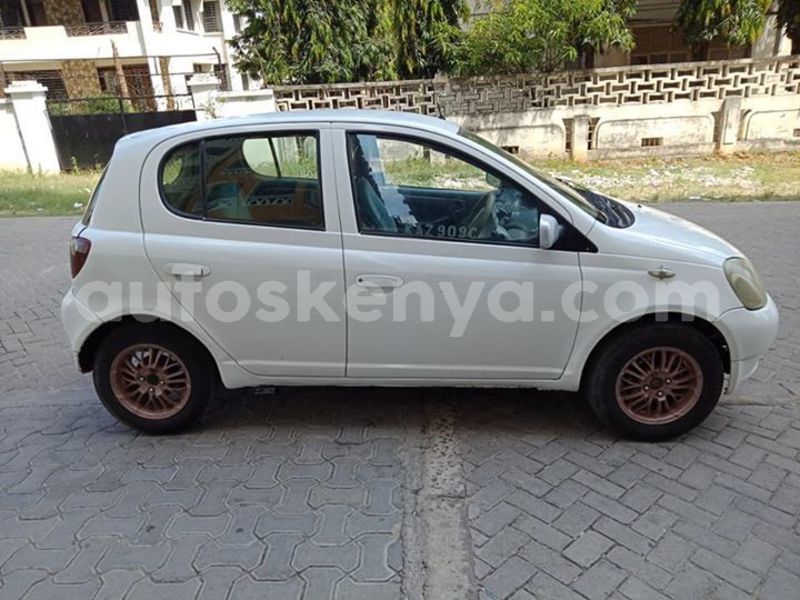 Big with watermark 48408186 2471703052901065 7796544292935172096 n