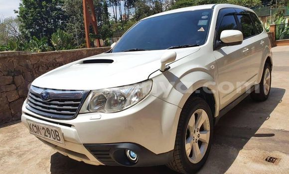 Oofamaa Subaru Forester White Makiinaa iti Nairobi keessatti Nairobi keessatti Oofamaa Subaru Forester White Makiinaa iti Nairobi keessatti Nairobi keessatti