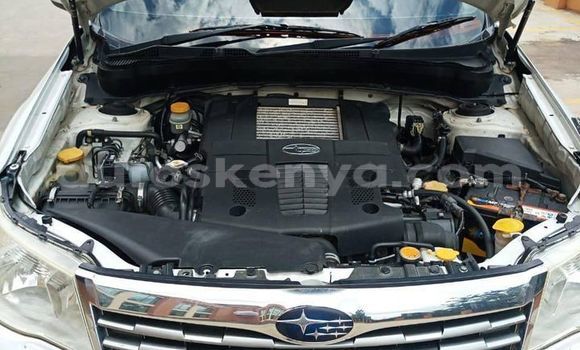 Buy Used Subaru Forester White Car in Nairobi in Nairobi Buy Used Subaru Forester White Car in Nairobi in Nairobi