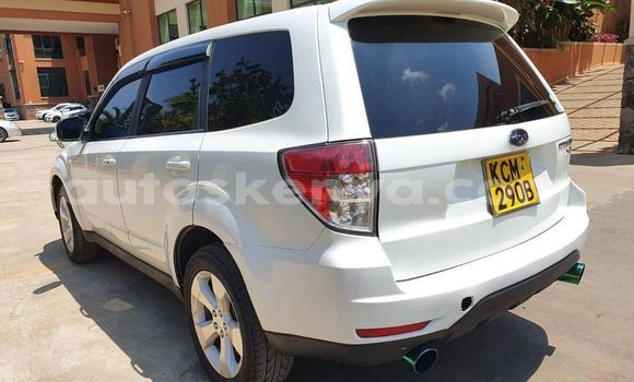 Buy Used Subaru Forester White Car in Nairobi in Nairobi Buy Used Subaru Forester White Car in Nairobi in Nairobi