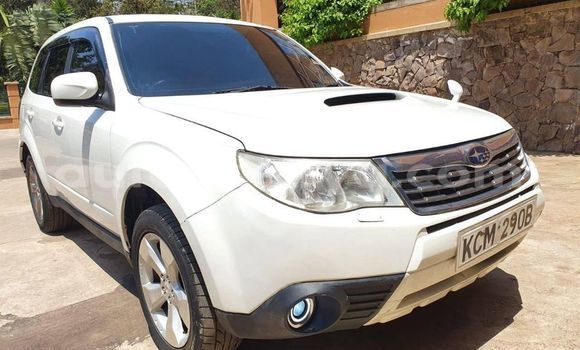 Buy Used Subaru Forester White Car in Nairobi in Nairobi Buy Used Subaru Forester White Car in Nairobi in Nairobi