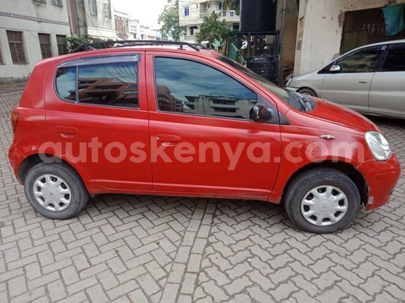 Big with watermark 40756667 2264929420245097 5029374942332846080 n