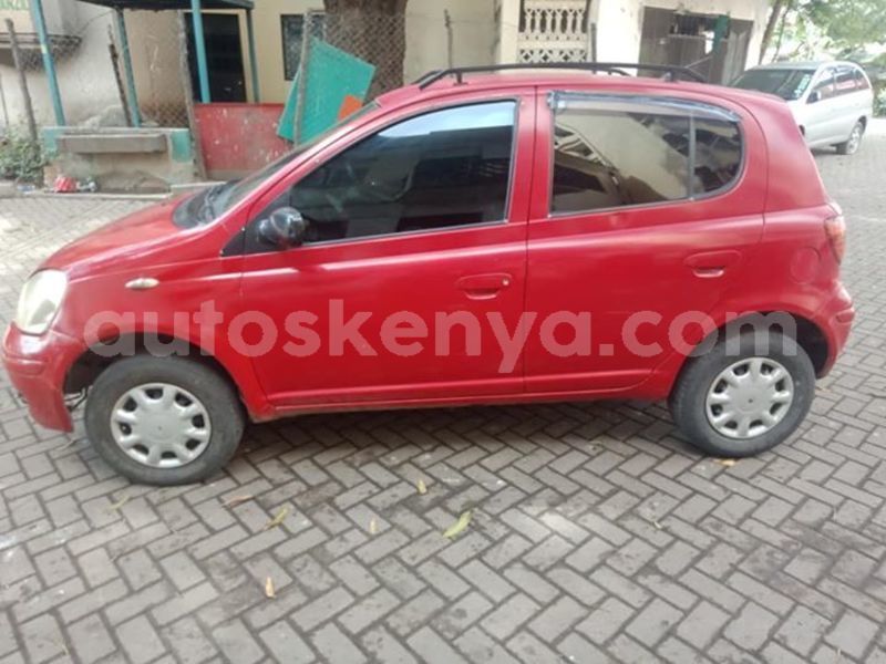 Big with watermark 40820132 2264929513578421 7739392082250301440 n