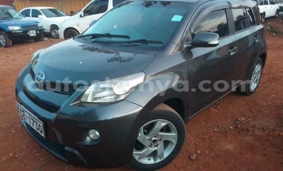 Oofamaa Toyota IST Black Makiinaa iti Kiambu keessatti Central Kenya keessatti Oofamaa Toyota IST Black Makiinaa iti Kiambu keessatti Central Kenya keessatti