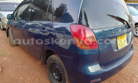 Oofamaa Toyota Spacio Blue Makiinaa iti Kiambu keessatti Central Kenya keessatti Oofamaa Toyota Spacio Blue Makiinaa iti Kiambu keessatti Central Kenya keessatti
