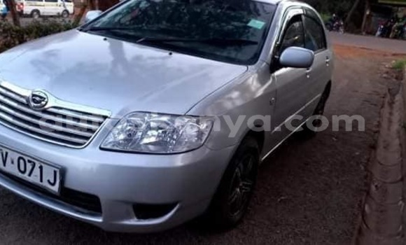 Oofamaa Toyota Corolla Silver Makiinaa iti Kiambu keessatti Central Kenya keessatti Oofamaa Toyota Corolla Silver Makiinaa iti Kiambu keessatti Central Kenya keessatti