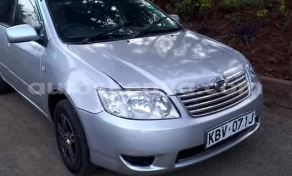 Oofamaa Toyota Corolla Silver Makiinaa iti Kiambu keessatti Central Kenya keessatti Oofamaa Toyota Corolla Silver Makiinaa iti Kiambu keessatti Central Kenya keessatti