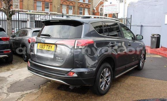 Buy Import Toyota RAV4 Silver Car in Bissil in Nairobi Buy Import Toyota RAV4 Silver Car in Bissil in Nairobi