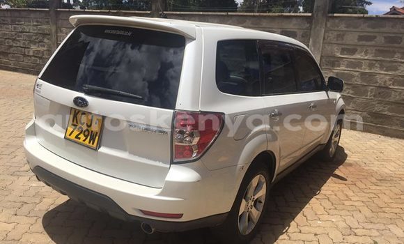 Buy Used Subaru Forester White Car in Nairobi in Nairobi Buy Used Subaru Forester White Car in Nairobi in Nairobi
