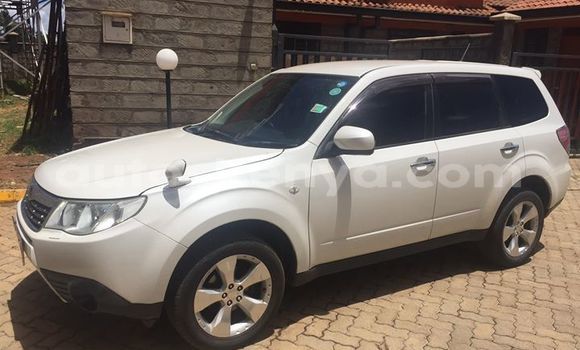 Buy Used Subaru Forester White Car in Nairobi in Nairobi Buy Used Subaru Forester White Car in Nairobi in Nairobi