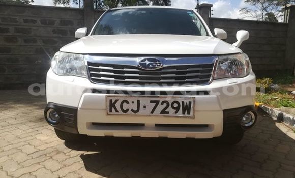Buy Used Subaru Forester White Car in Nairobi in Nairobi Buy Used Subaru Forester White Car in Nairobi in Nairobi