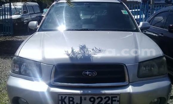 Buy Used Subaru Forester Silver Car in Nairobi in Nairobi Buy Used Subaru Forester Silver Car in Nairobi in Nairobi