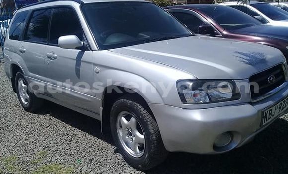 Buy Used Subaru Forester Silver Car in Nairobi in Nairobi Buy Used Subaru Forester Silver Car in Nairobi in Nairobi