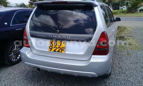 Buy Used Subaru Forester Silver Car in Nairobi in Nairobi Buy Used Subaru Forester Silver Car in Nairobi in Nairobi