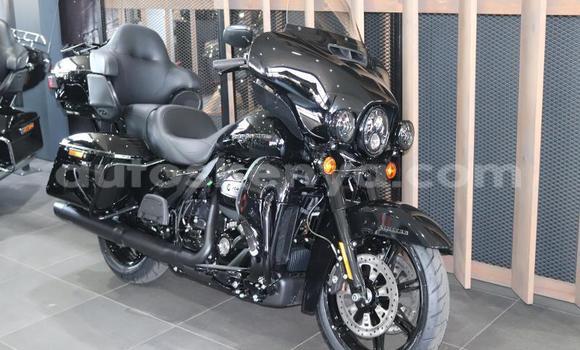 Nunua Ilio tumika Harley Davidson Tour Glide Nyeusi Bike ndani ya Nairobi nchini Nairobi Nunua Ilio tumika Harley Davidson Tour Glide Nyeusi Bike ndani ya Nairobi nchini Nairobi