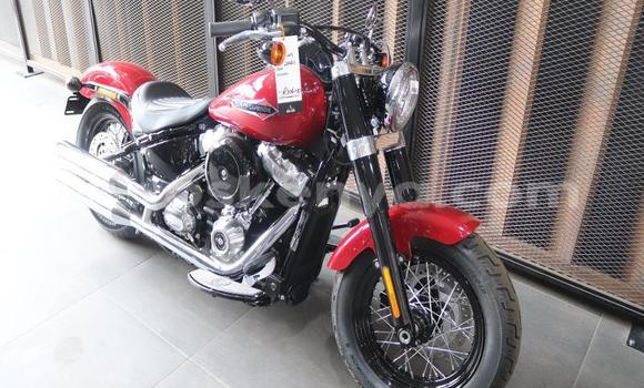 Oofamaa Harley Davidson Softail Other Doqdoqqee iti Mombasa keessatti Coastal Kenya keessatti Oofamaa Harley Davidson Softail Other Doqdoqqee iti Mombasa keessatti Coastal Kenya keessatti