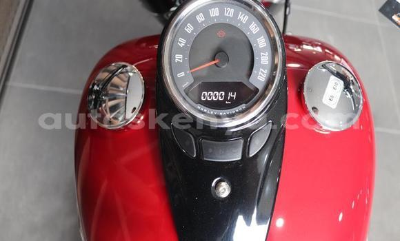 Oofamaa Harley Davidson Softail Other Doqdoqqee iti Mombasa keessatti Coastal Kenya keessatti Oofamaa Harley Davidson Softail Other Doqdoqqee iti Mombasa keessatti Coastal Kenya keessatti