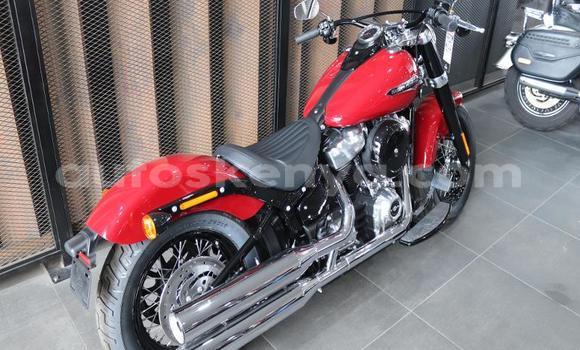 Oofamaa Harley Davidson Softail Other Doqdoqqee iti Mombasa keessatti Coastal Kenya keessatti Oofamaa Harley Davidson Softail Other Doqdoqqee iti Mombasa keessatti Coastal Kenya keessatti