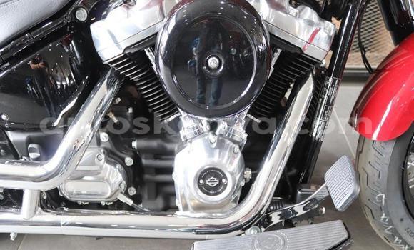 Oofamaa Harley Davidson Softail Other Doqdoqqee iti Mombasa keessatti Coastal Kenya keessatti Oofamaa Harley Davidson Softail Other Doqdoqqee iti Mombasa keessatti Coastal Kenya keessatti