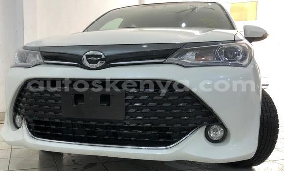 Oofamaa Toyota Fielder White Makiinaa iti Mombasa keessatti Coastal Kenya keessatti