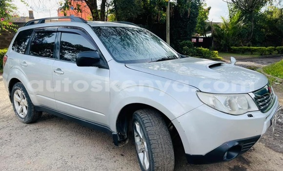 Oofamaa Subaru Forester Silver Makiinaa iti Nairobi keessatti Nairobi keessatti