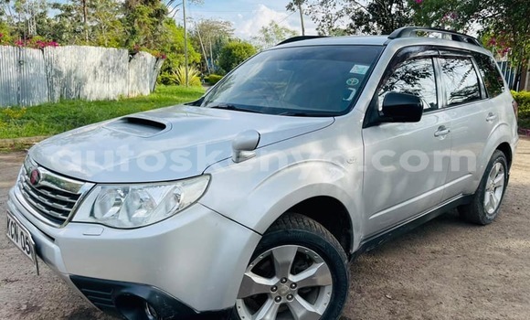 Oofamaa Subaru Forester Silver Makiinaa iti Nairobi keessatti Nairobi keessatti Oofamaa Subaru Forester Silver Makiinaa iti Nairobi keessatti Nairobi keessatti