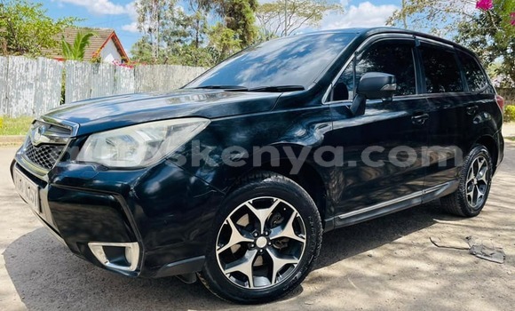 Oofamaa Subaru Forester Black Makiinaa iti Nairobi keessatti Nairobi keessatti Oofamaa Subaru Forester Black Makiinaa iti Nairobi keessatti Nairobi keessatti