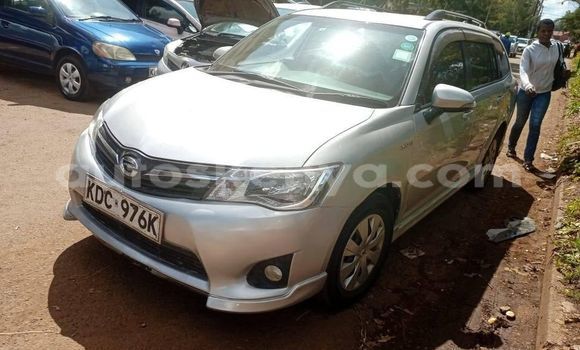 Buy Used Toyota Fielder Silver Car in Kiambu in Central Kenya Buy Used Toyota Fielder Silver Car in Kiambu in Central Kenya