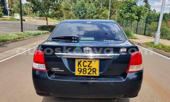 Buy Used Toyota Axio Blue Car in Kiambu in Central Kenya Buy Used Toyota Axio Blue Car in Kiambu in Central Kenya